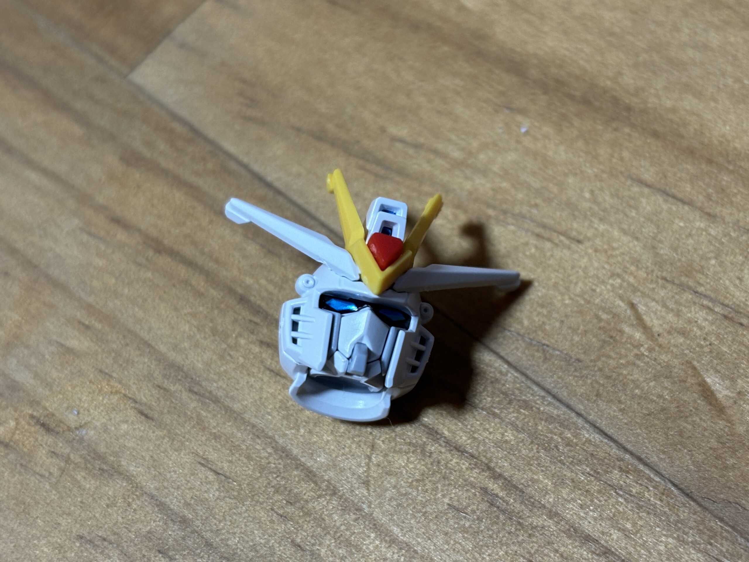 HGライジングフリーダム頭①