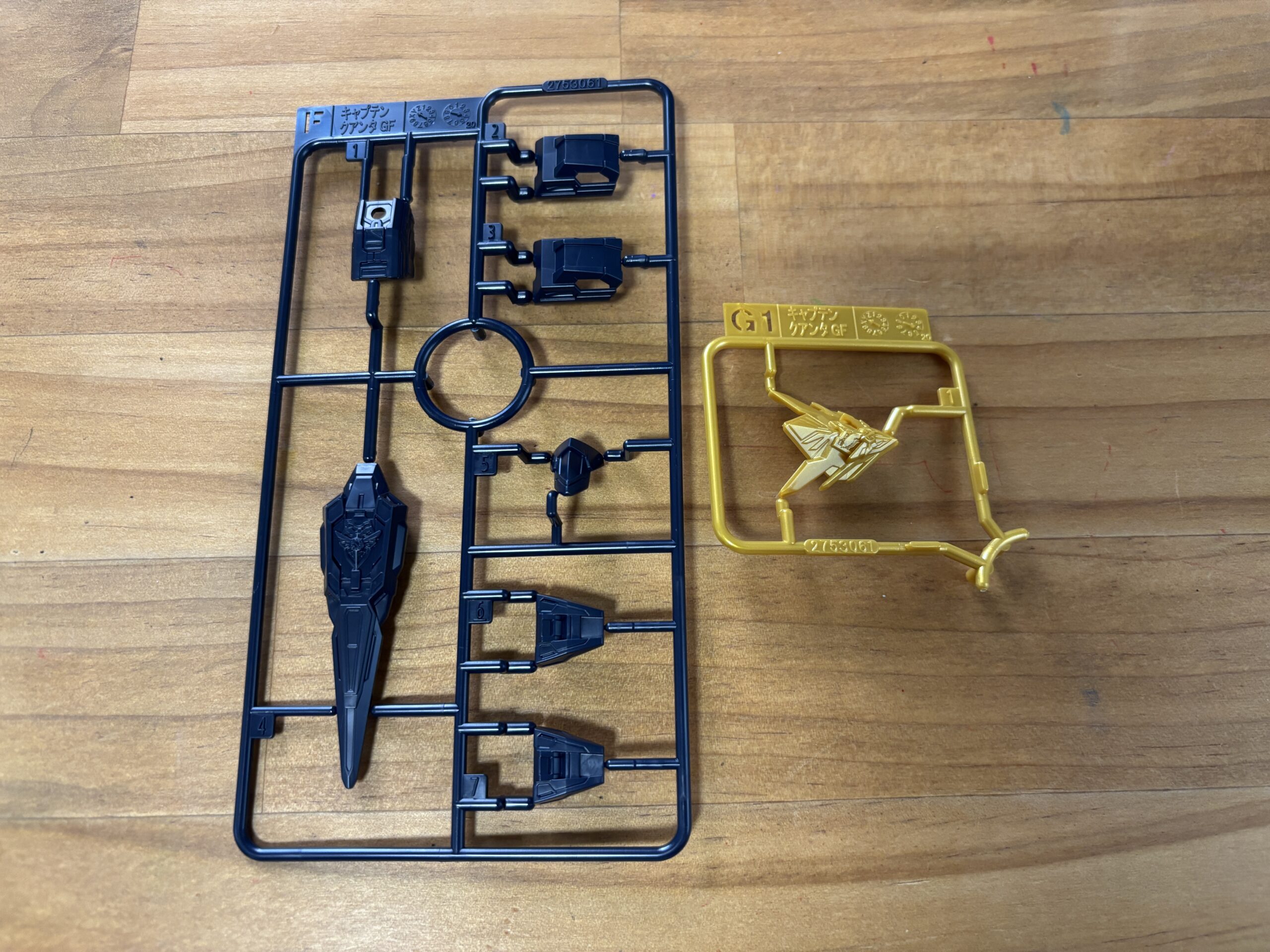 キャプテンクアンタGFランナーF&G1