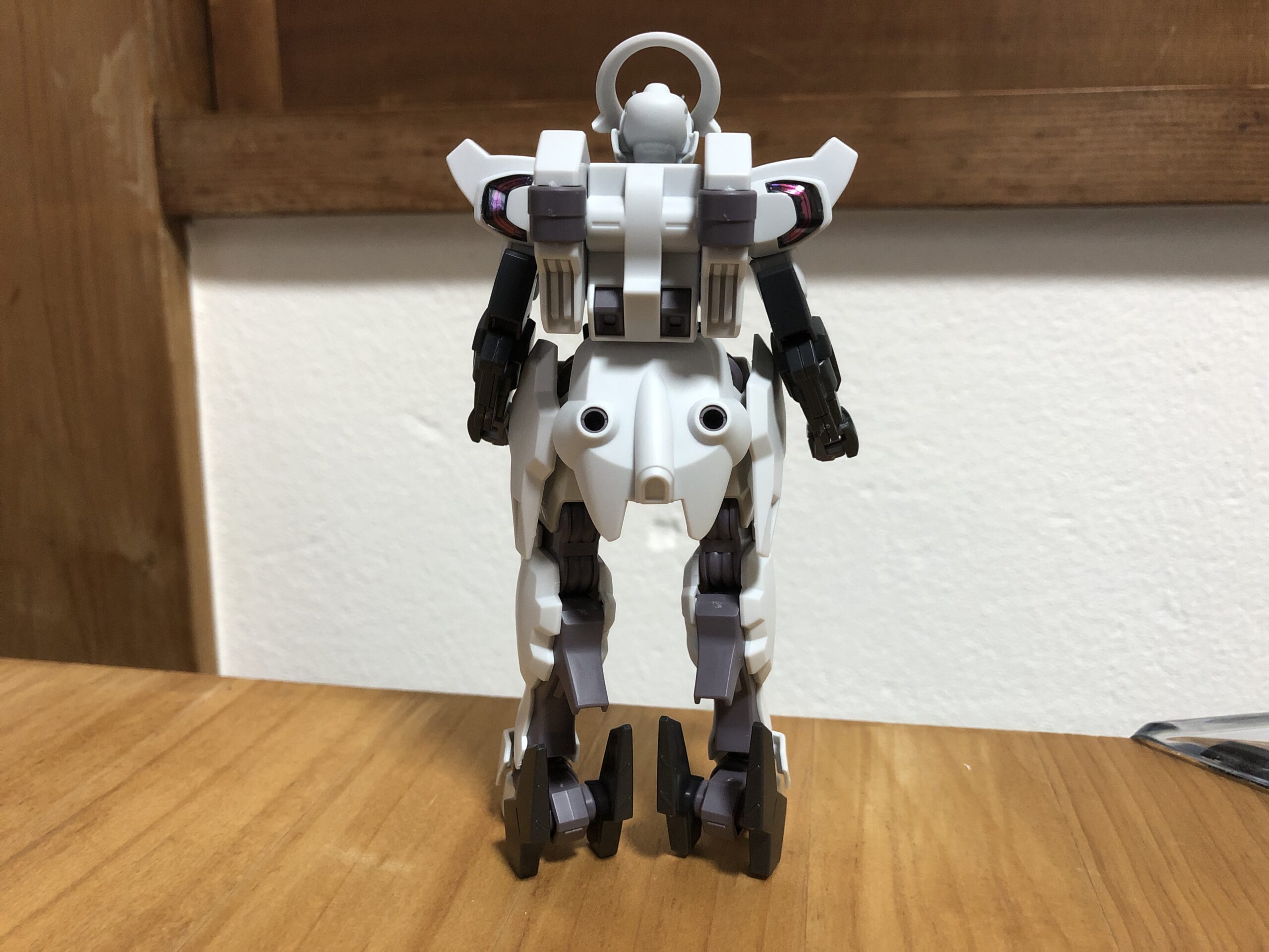 HGガンダムシュバルゼッテ背面