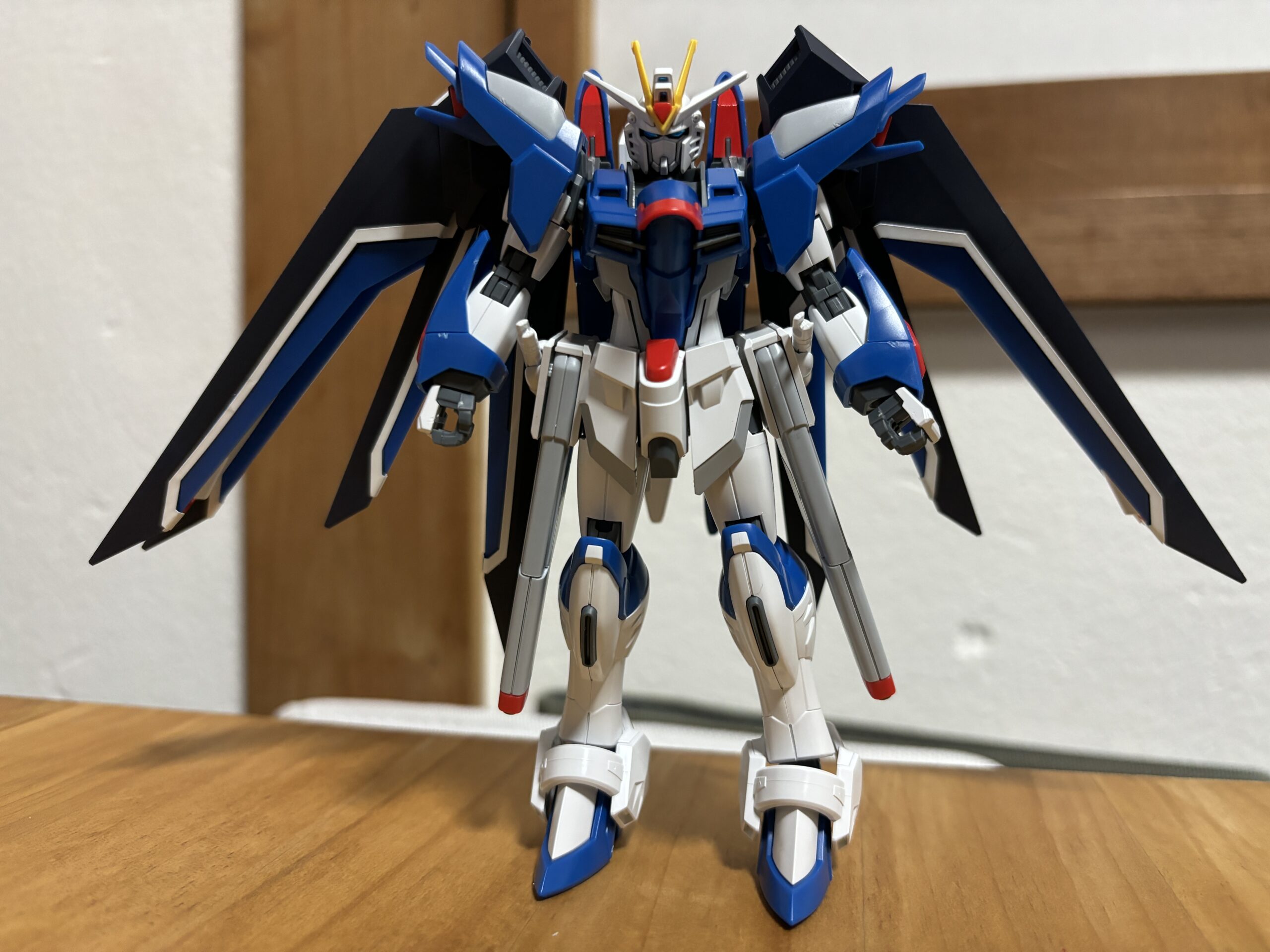 HGライジングフリーダム正面