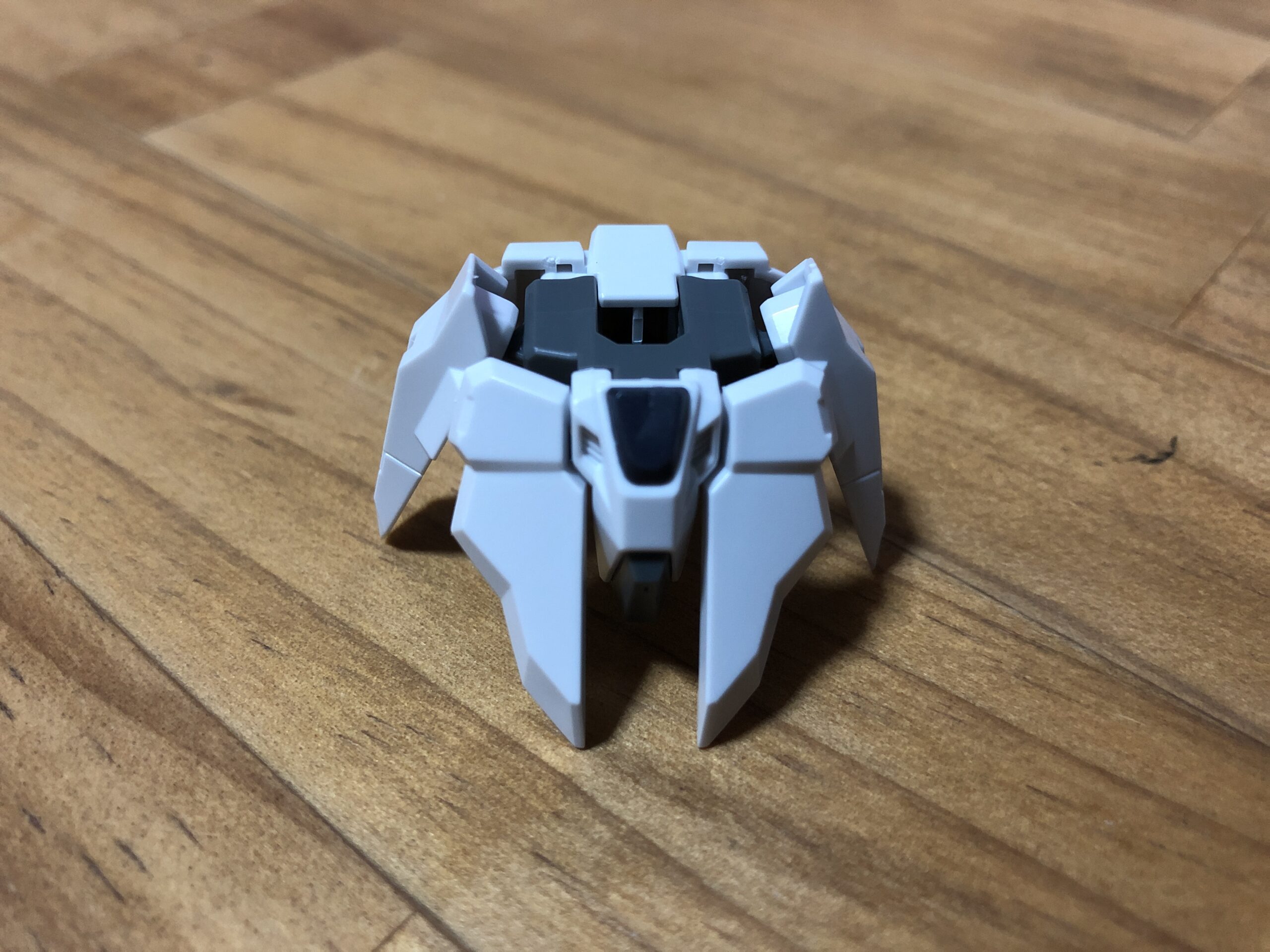 EGBSエクシードギャラクシー腰