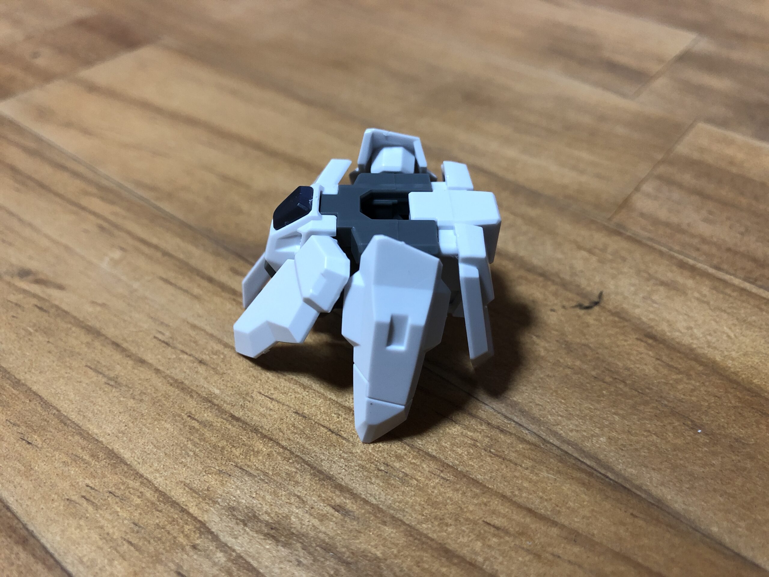 EGBSエクシードギャラクシー腰横