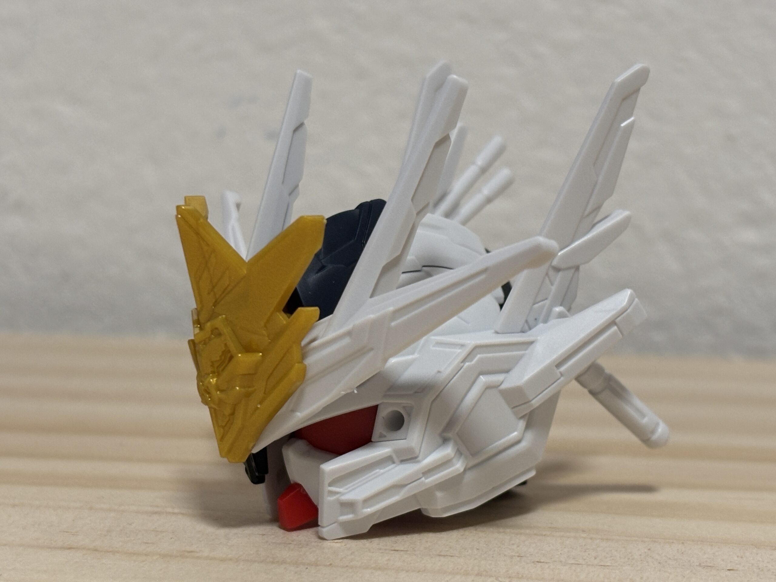 キャプテンクアンタGF頭横