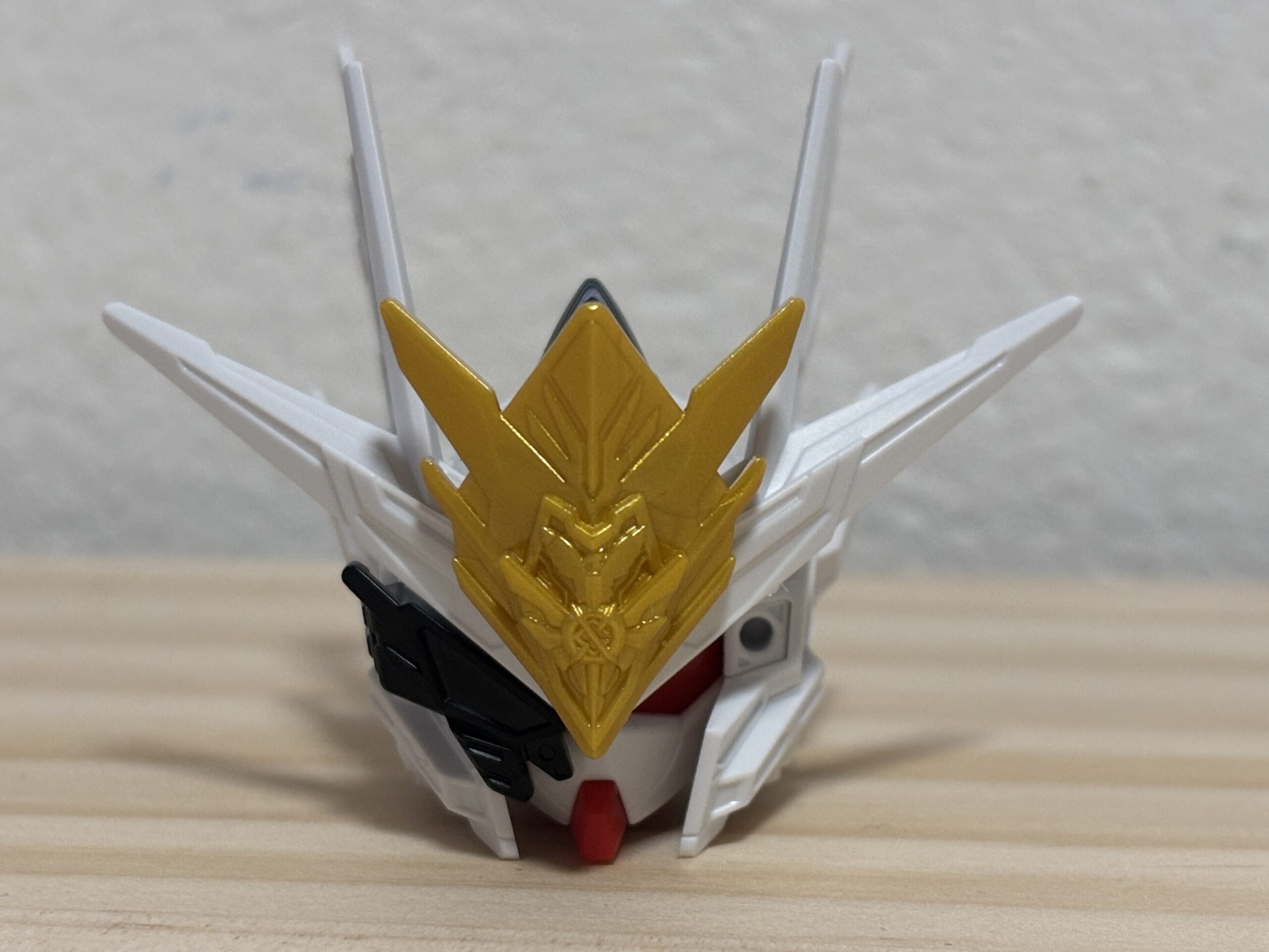 キャプテンクアンタGF頭