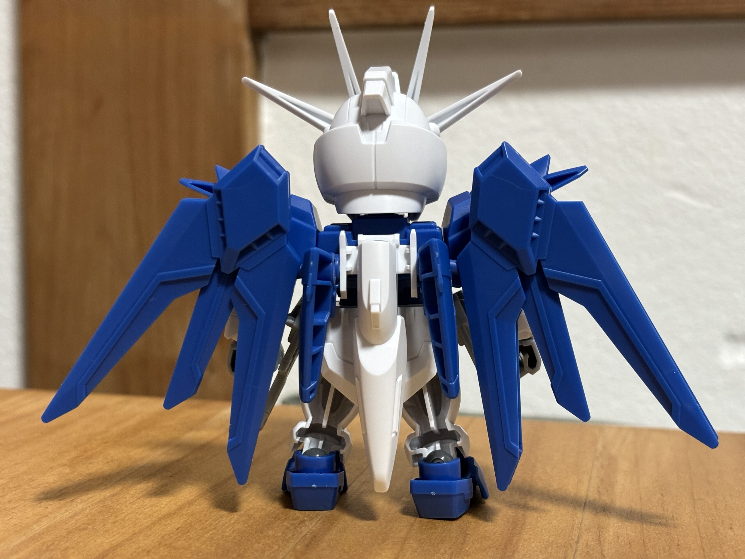 SDEXライジングフリーダム背面