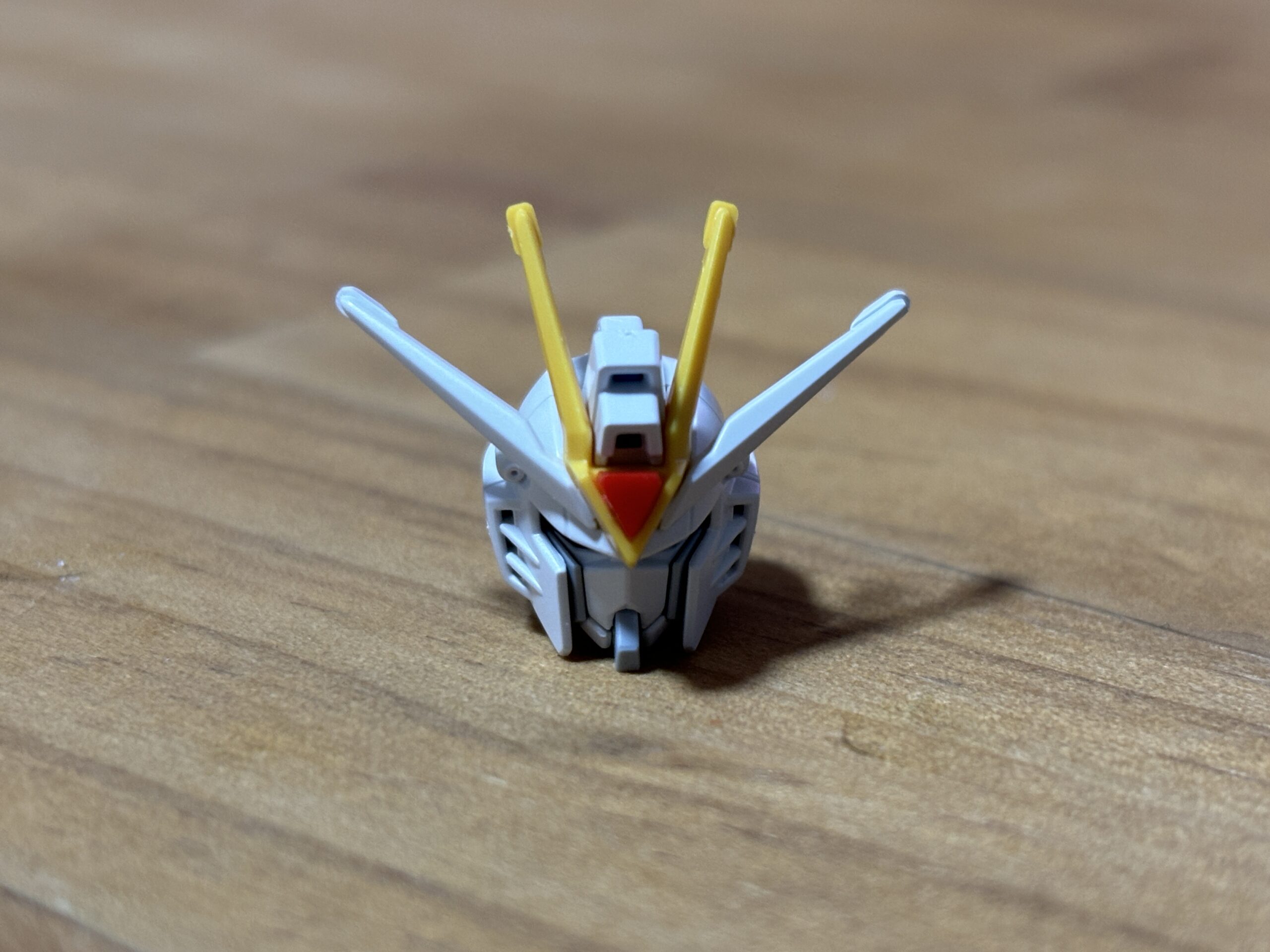 HGライジングフリーダム頭②