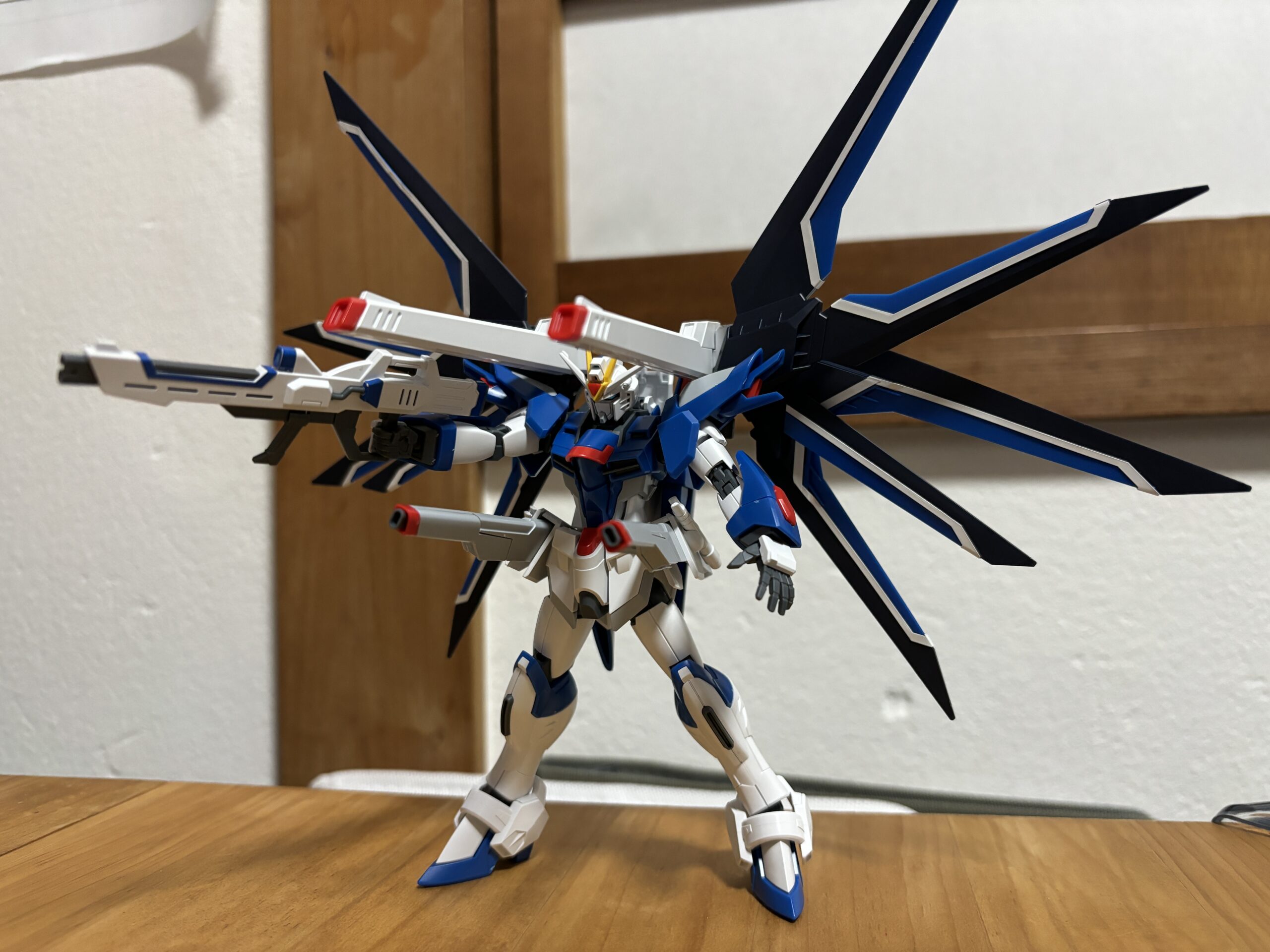 HGライジングフリーダムアクション④