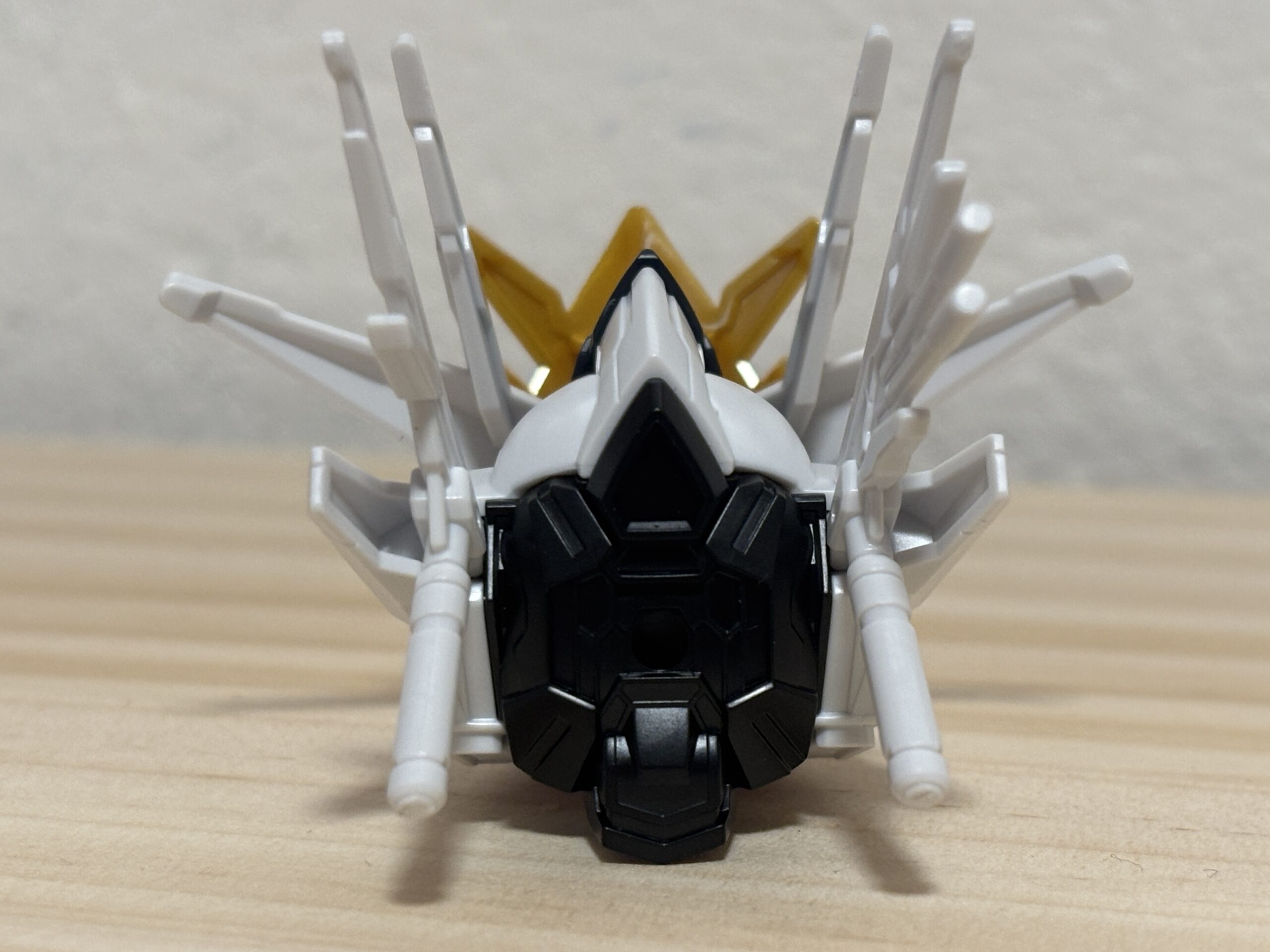 キャプテンクアンタGF頭背面