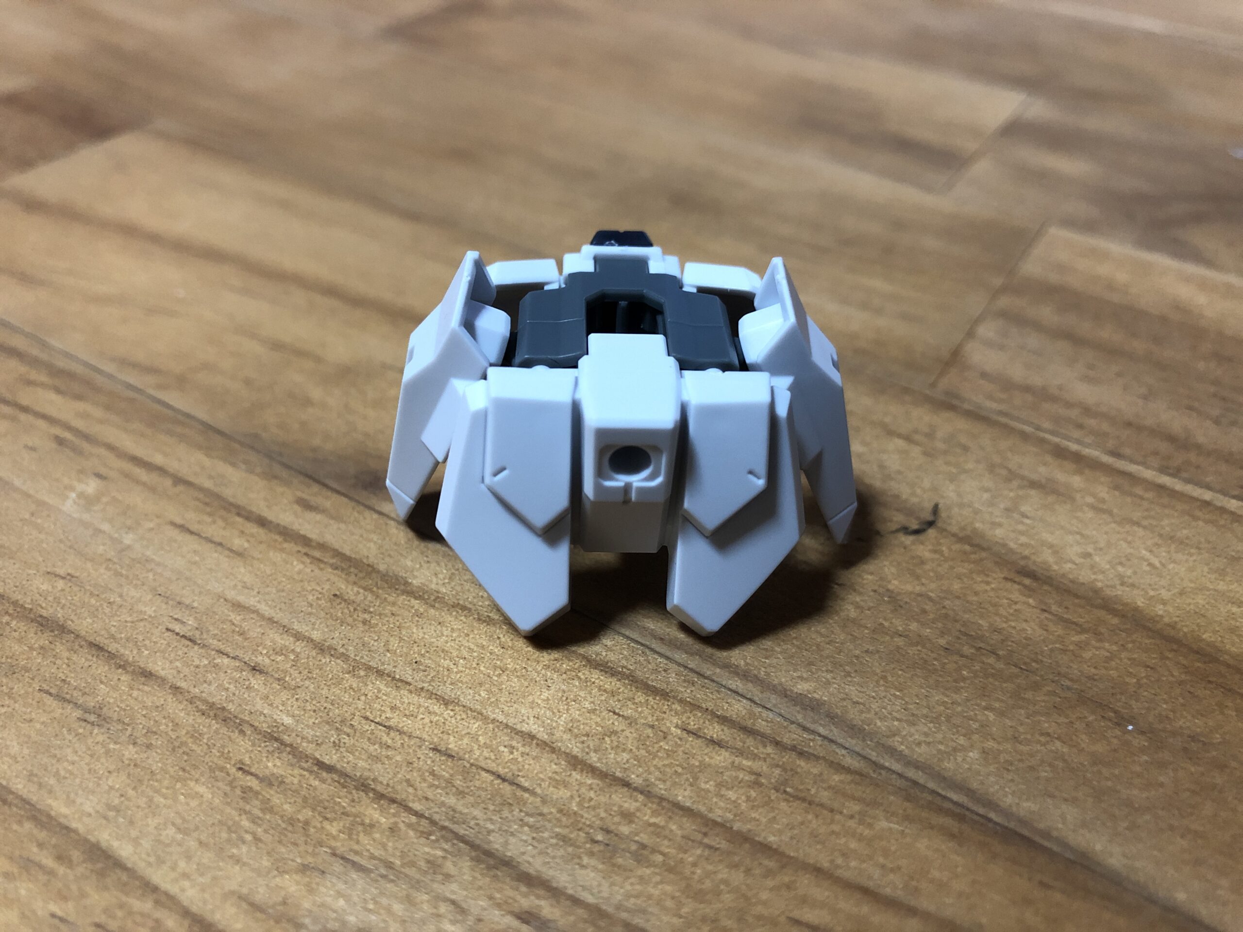 EGBSエクシードギャラクシー腰背面