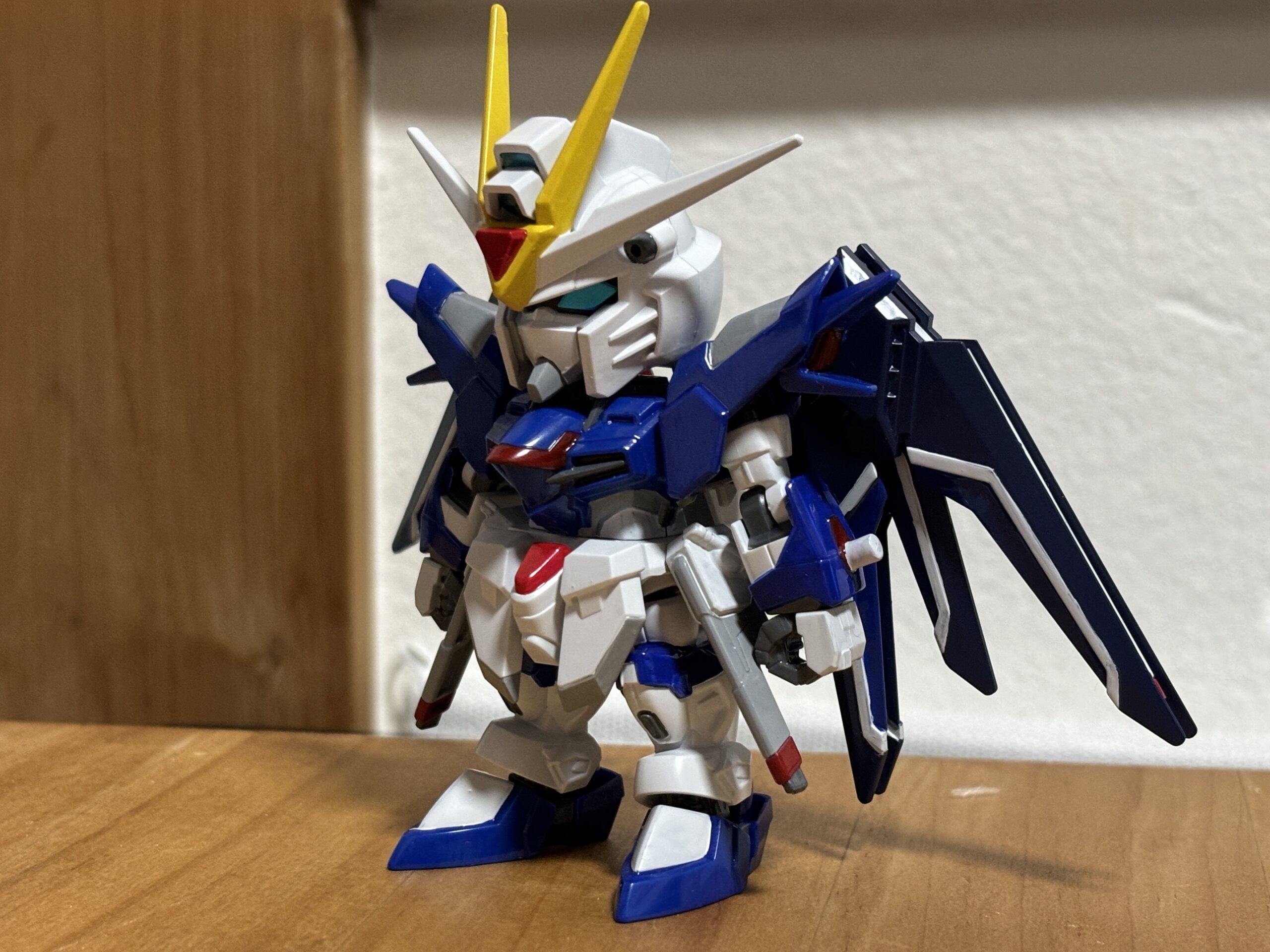 SDEXライジングフリーダム塗装斜面