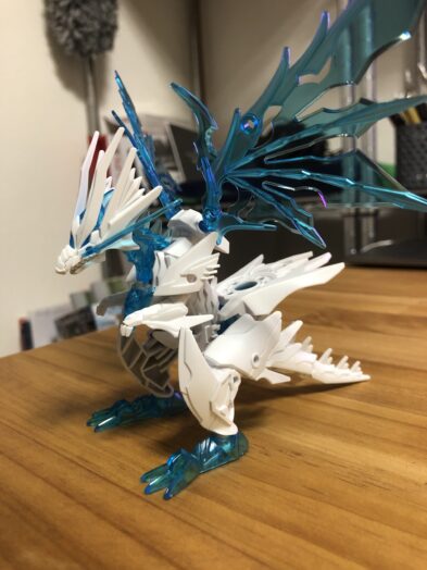 シャイングラスパードラゴン斜面